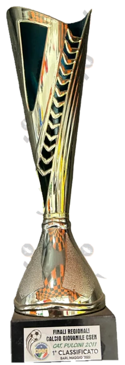 Calcio Giovanile CSEN · Pulcini