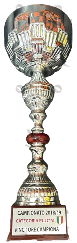 Campionato 2018/19 · Pulcini