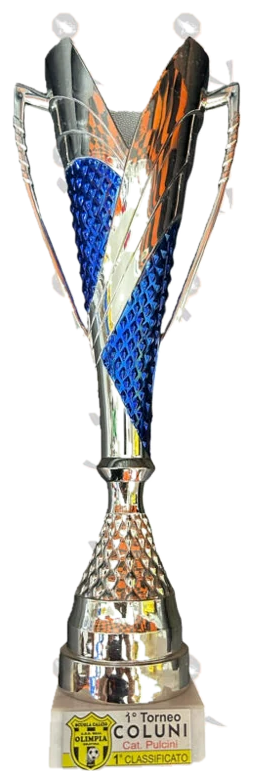 1° Torneo Coluni · Pulcini