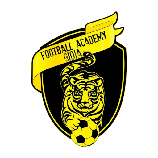 Logo Football Academy Gioia